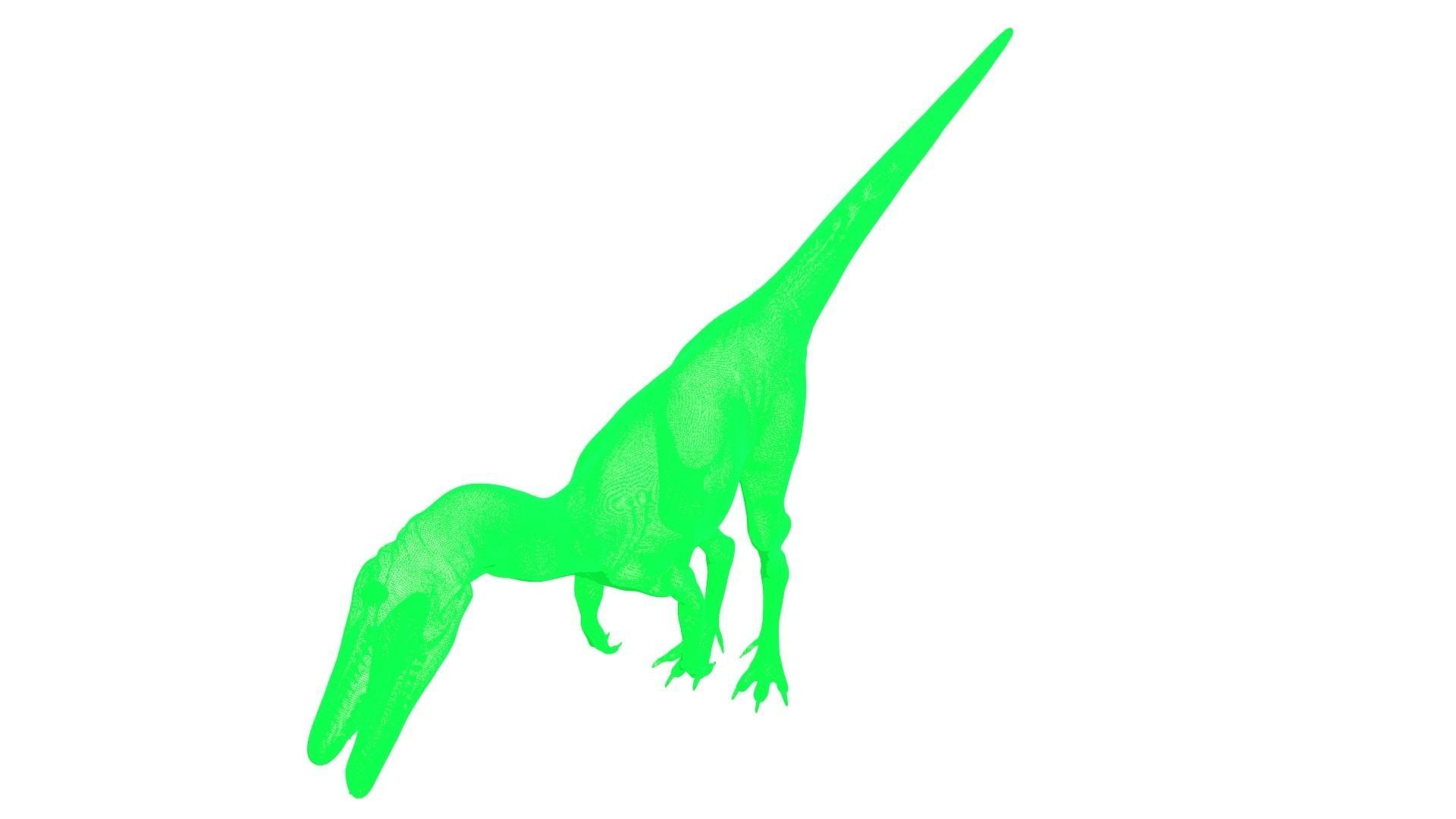 Coelophysis dinosaur 3D model_5