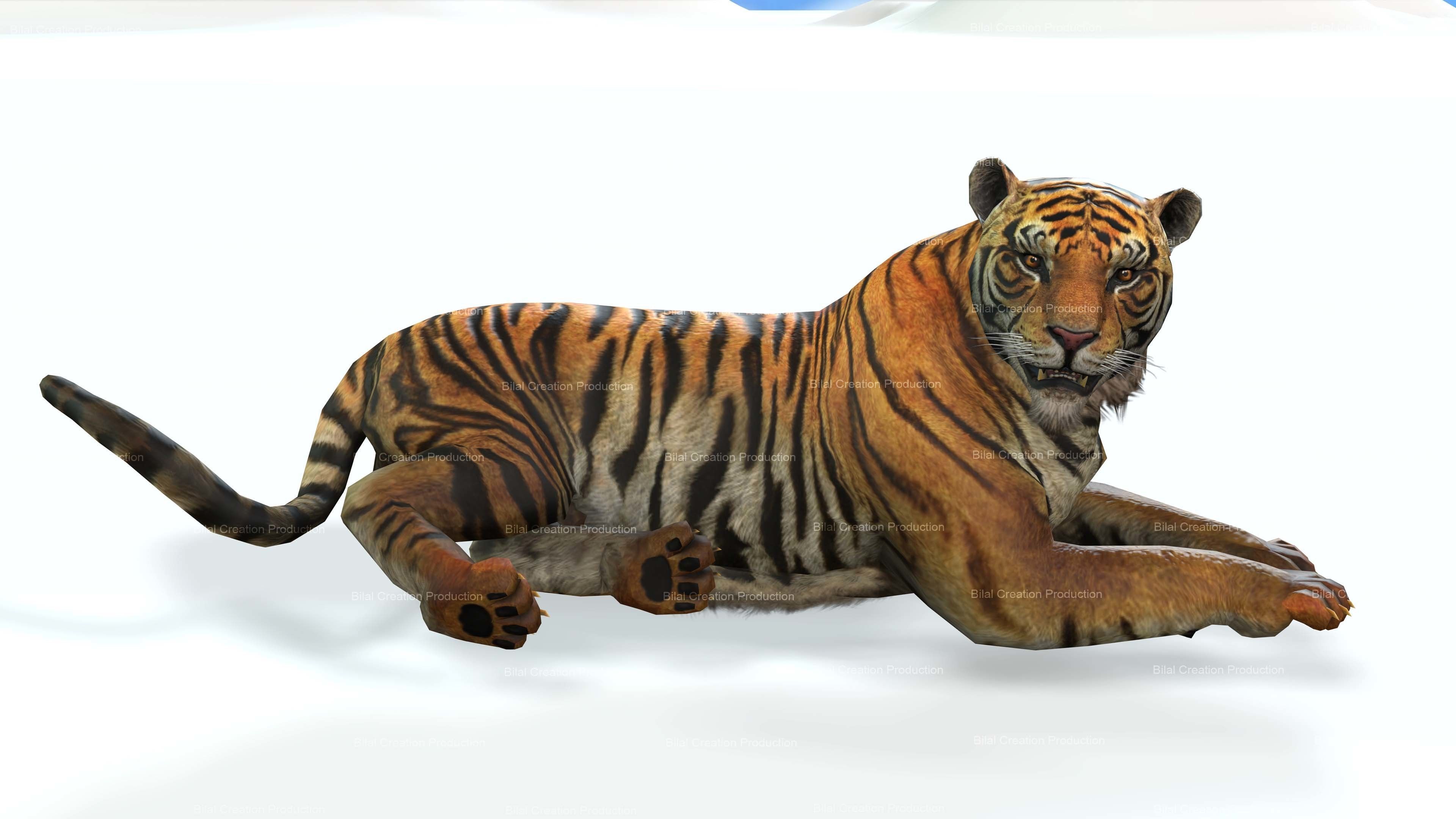 Tiger Rigged Animated 7 3D model_3