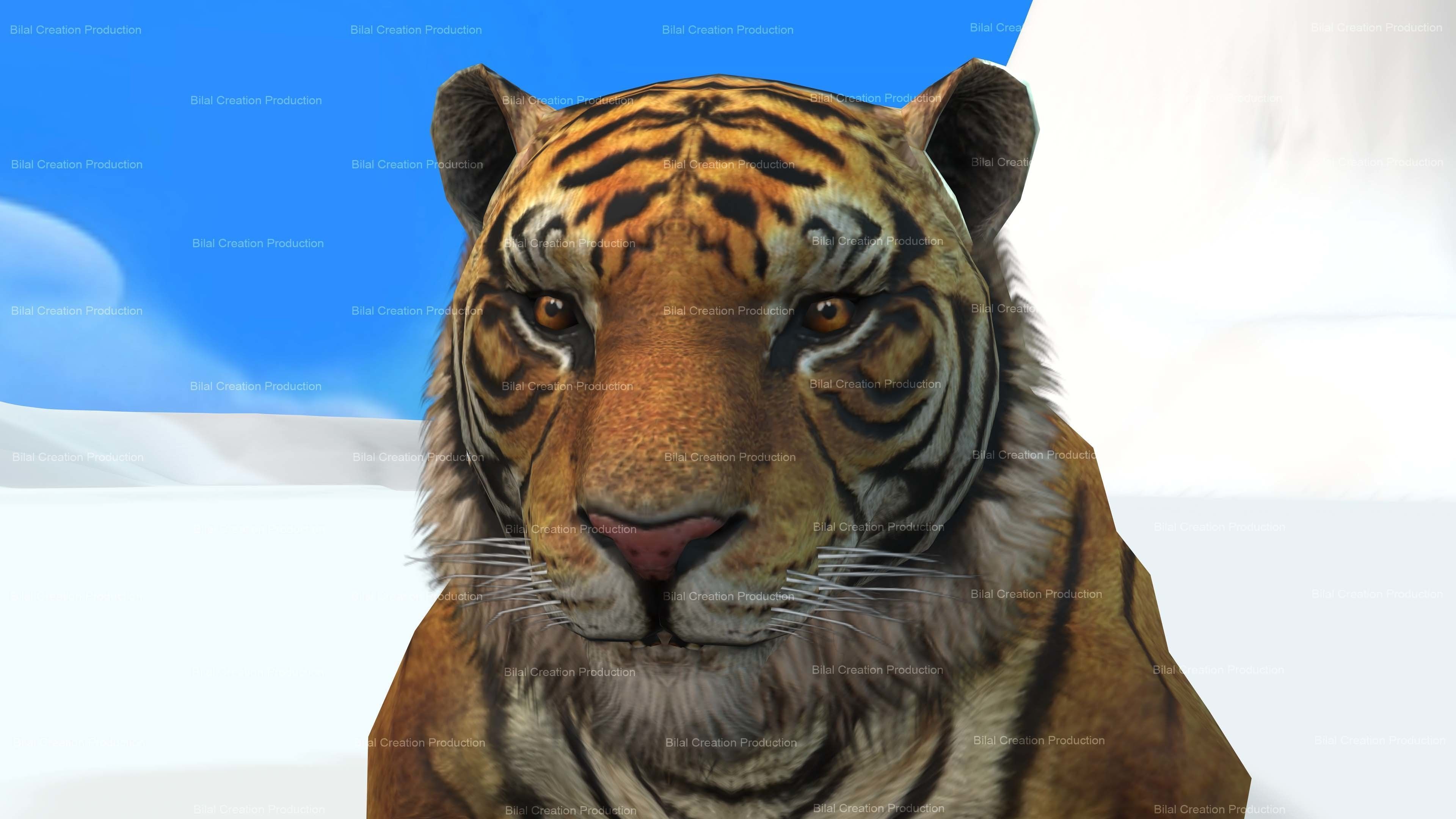 Tiger Rigged Animated 7 3D model_4