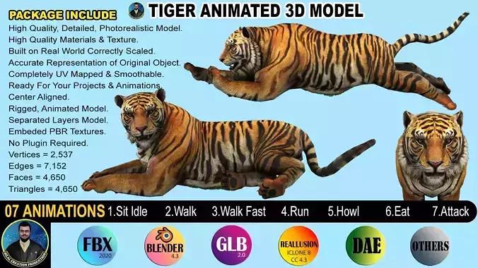 Tiger Rigged Animated 7 3D model