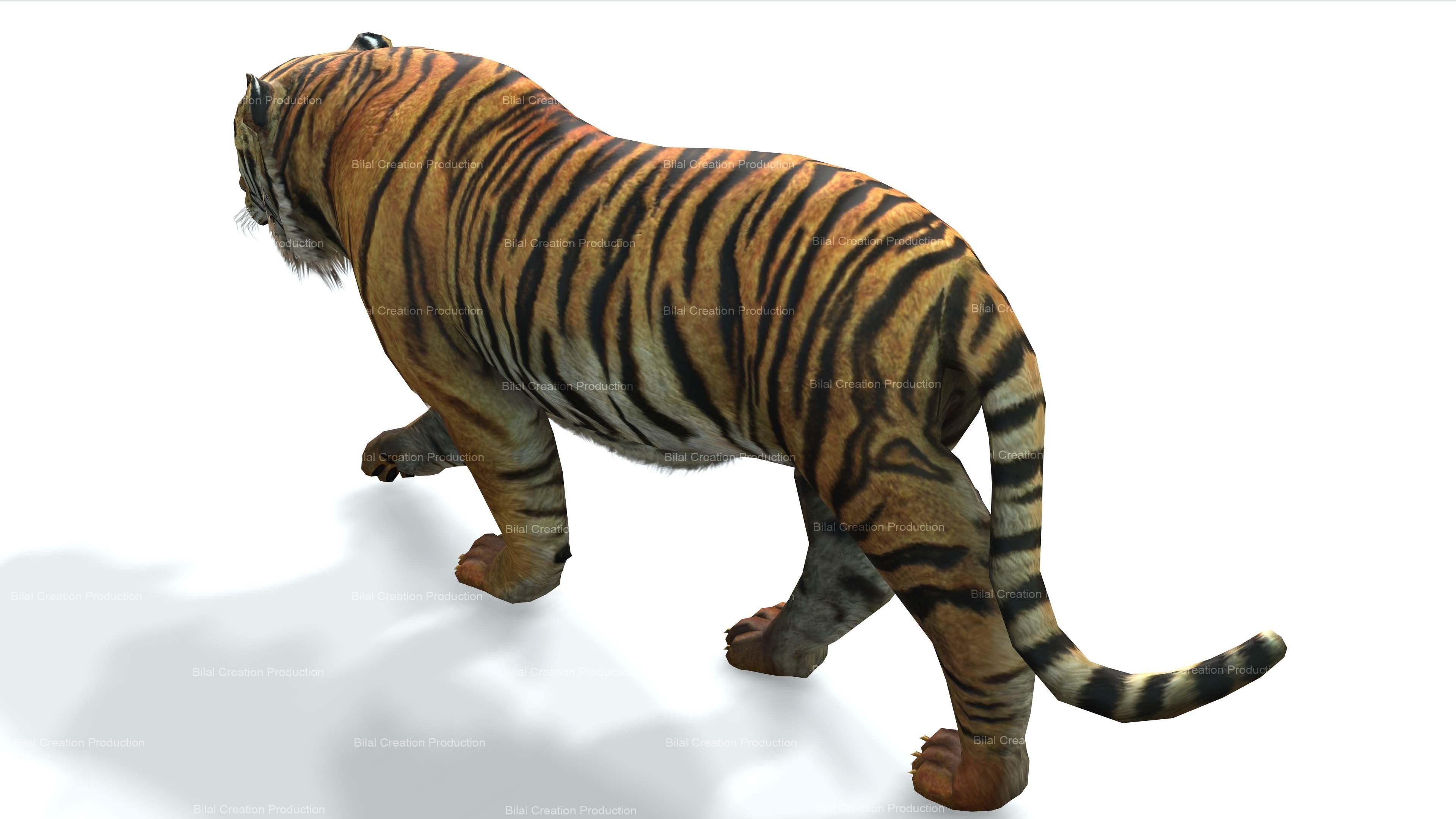 Tiger Rigged Animated 7 3D model_7