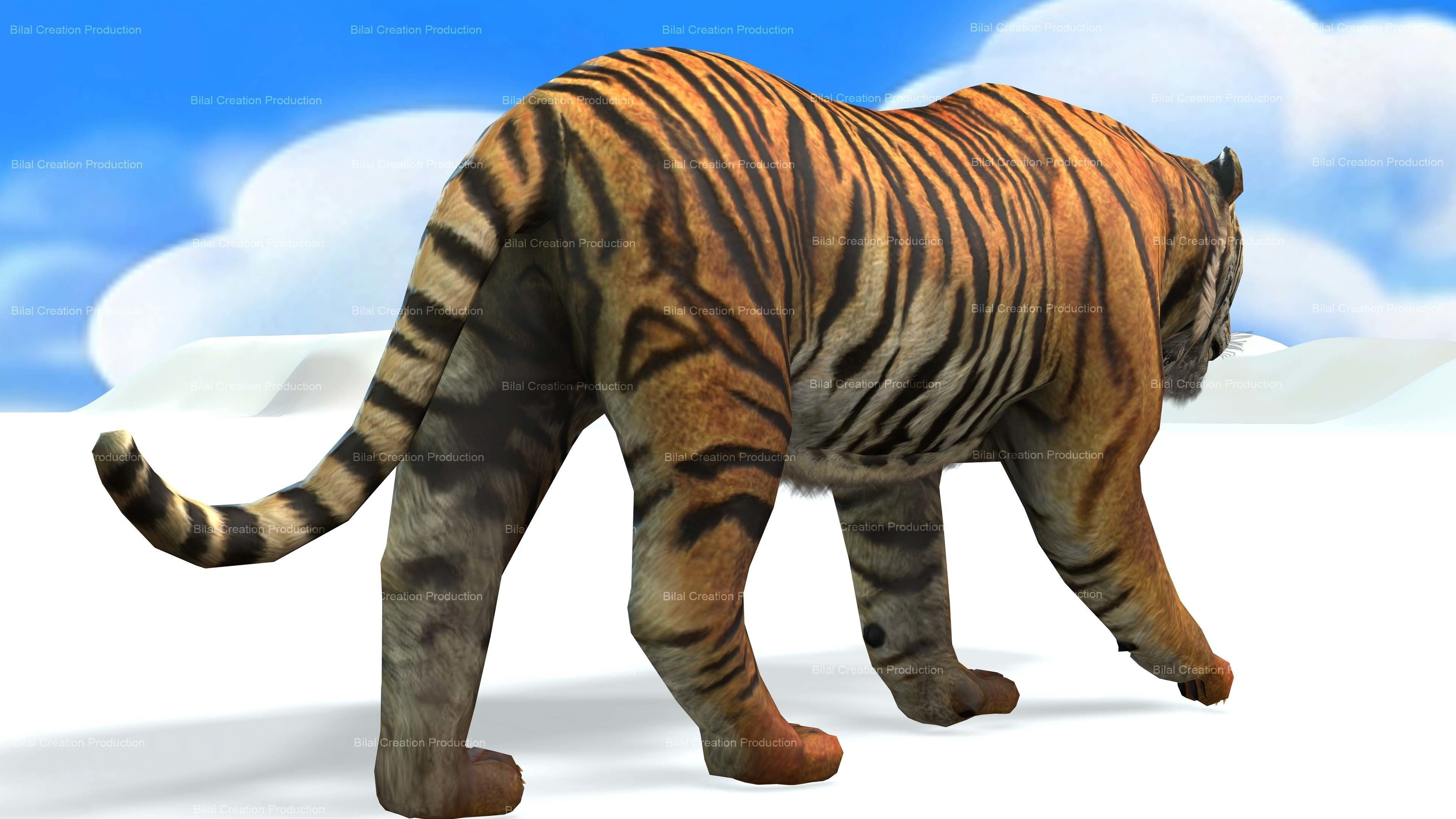 Tiger Rigged Animated 7 3D model_8