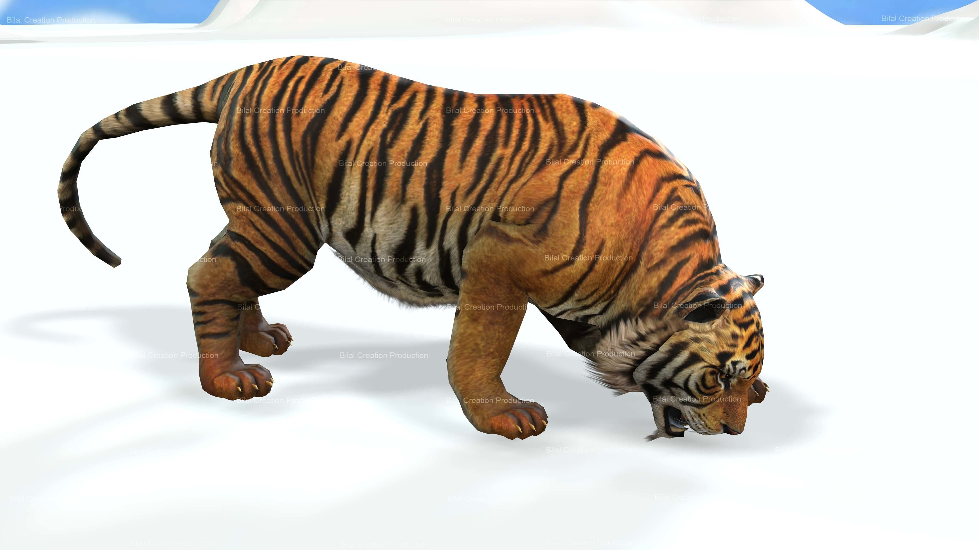 Tiger Rigged Animated 7 3D model_15