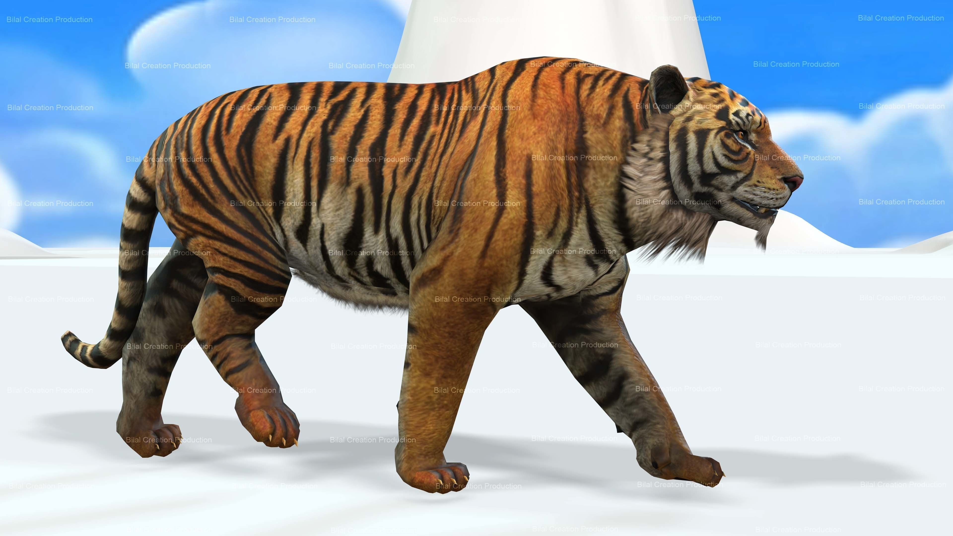 Tiger Rigged Animated 7 3D model_11