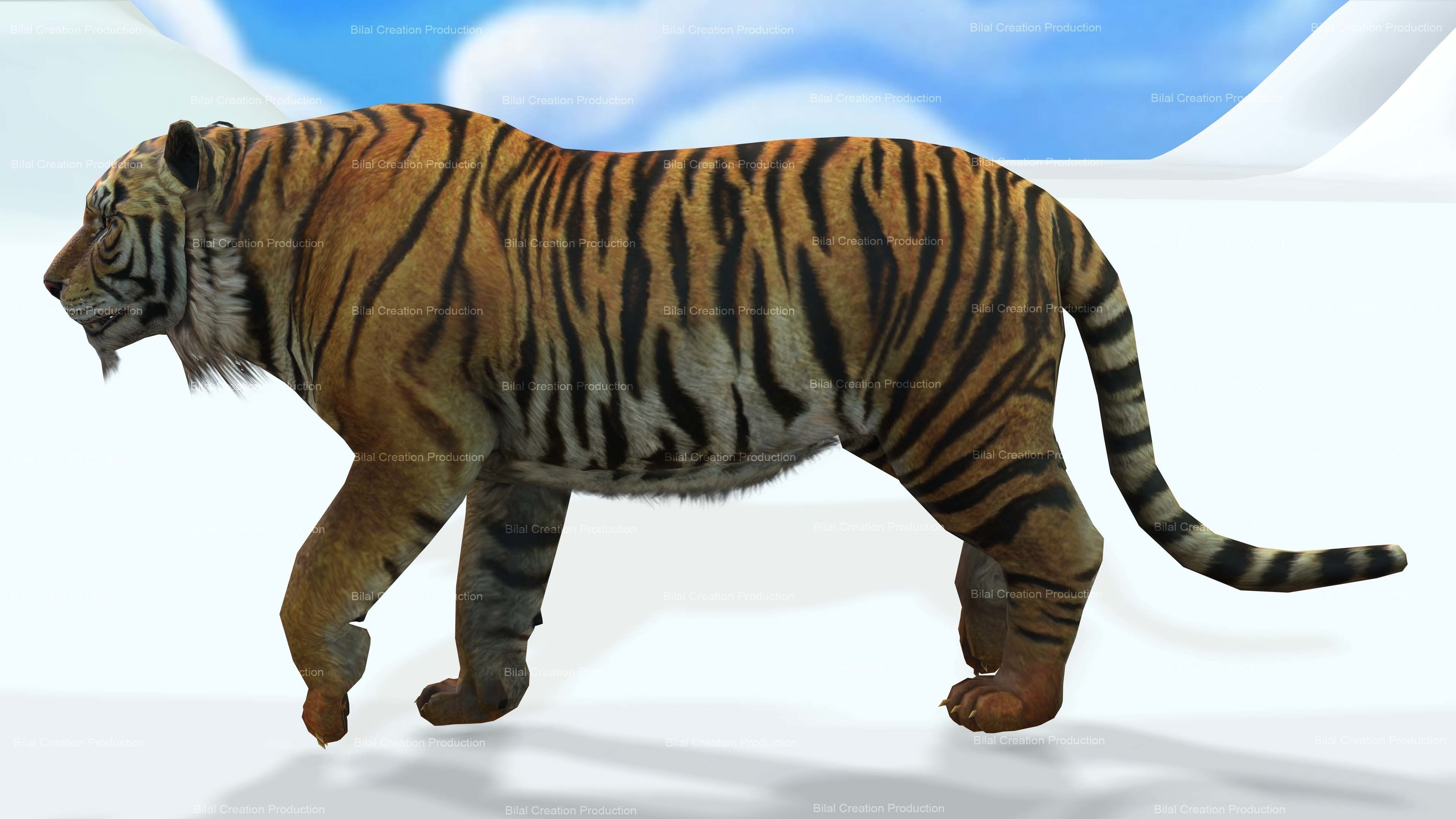 Tiger Rigged Animated 7 3D model_10
