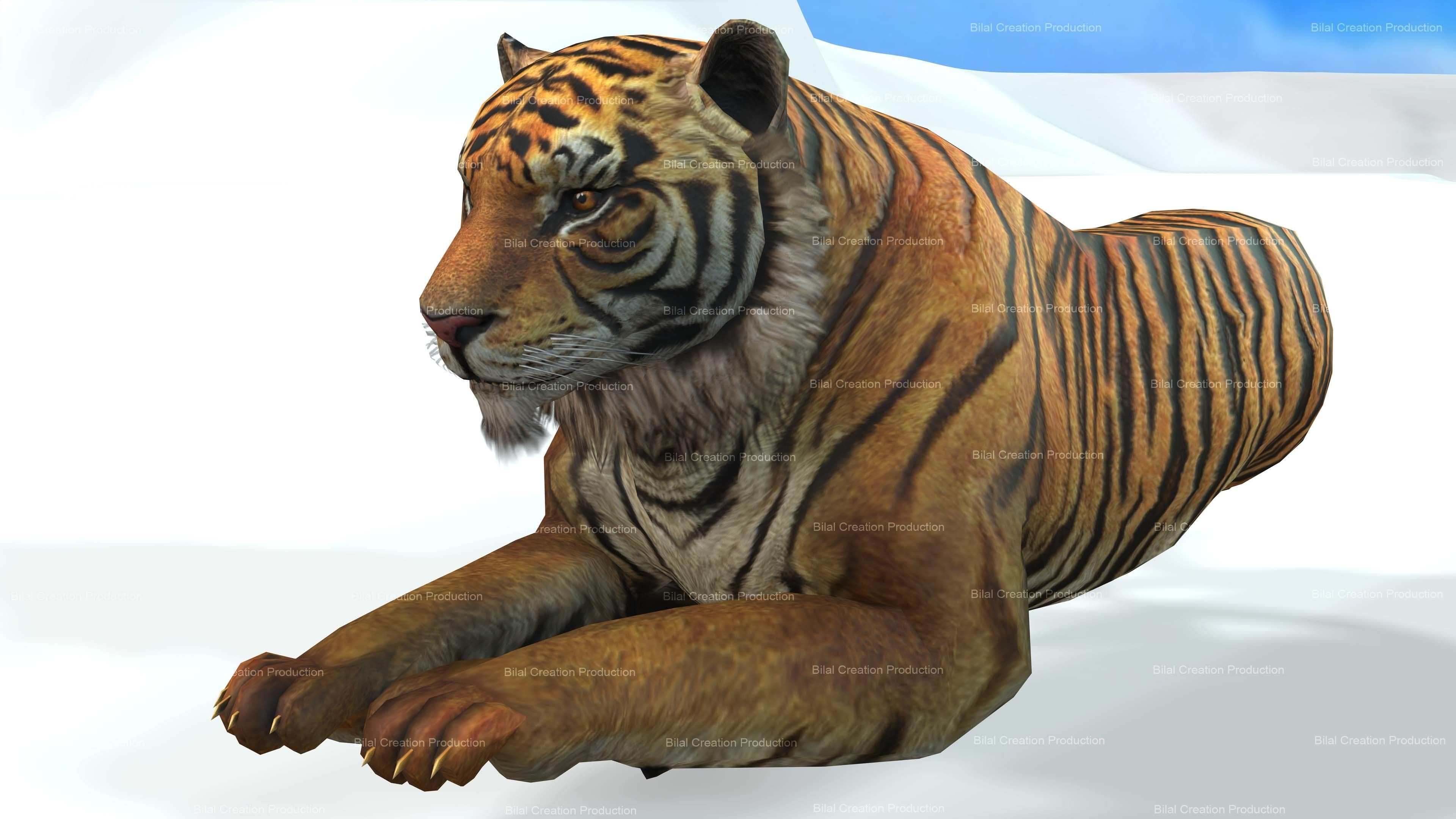 Tiger Rigged Animated 7 3D model_6