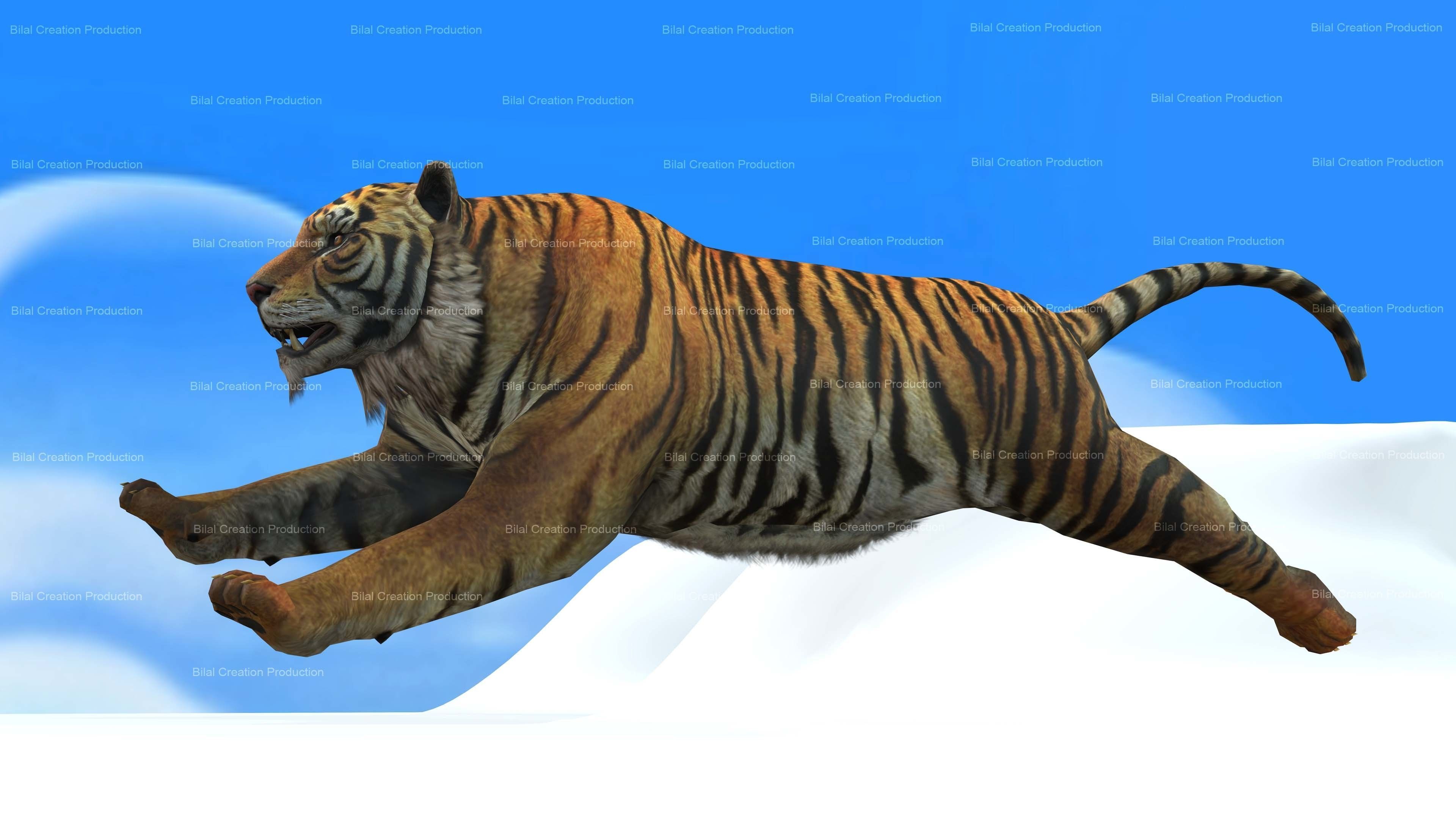 Tiger Rigged Animated 7 3D model_14