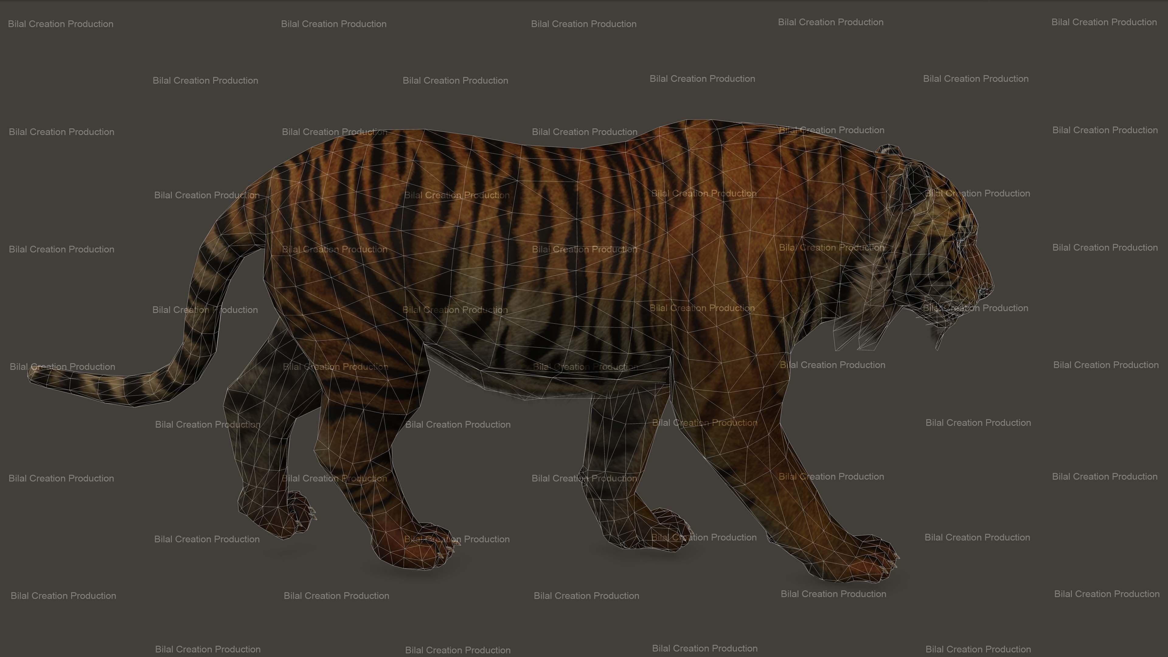 Tiger Rigged Animated 7 3D model_16