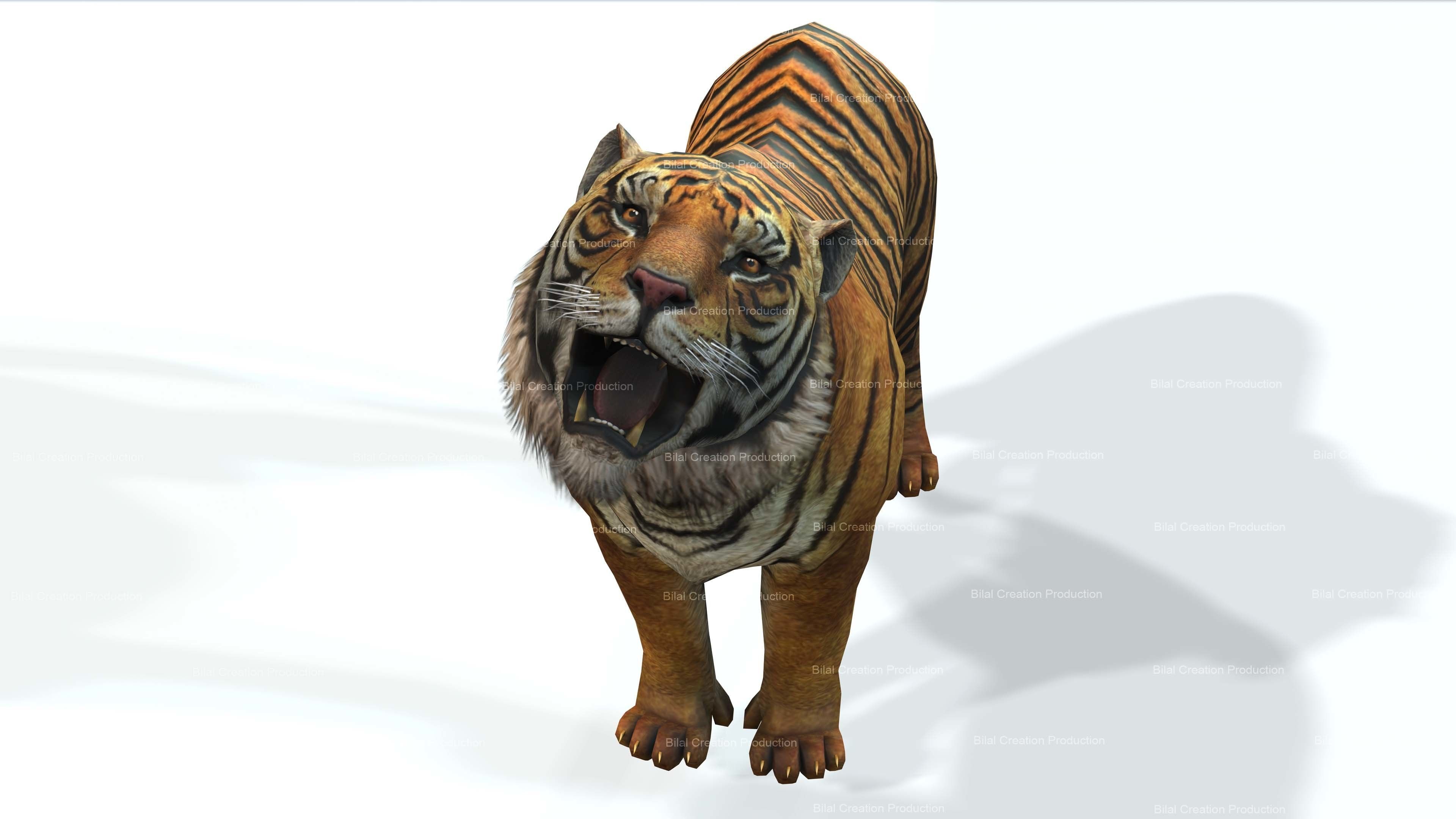 Tiger Rigged Animated 7 3D model_17