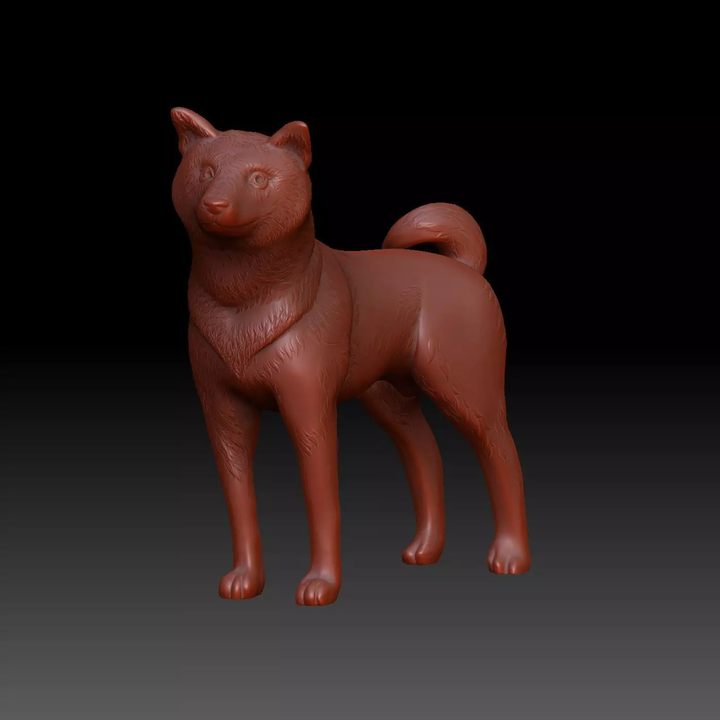 Shiba inu 3D print model_0