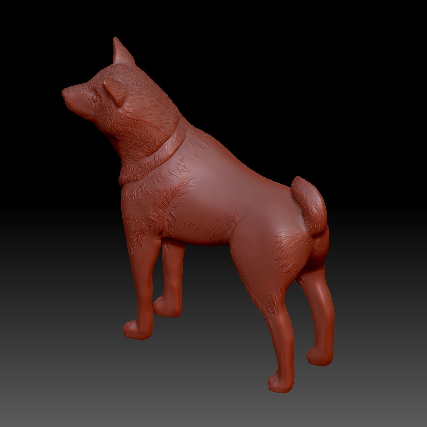 Shiba inu 3D print model_6