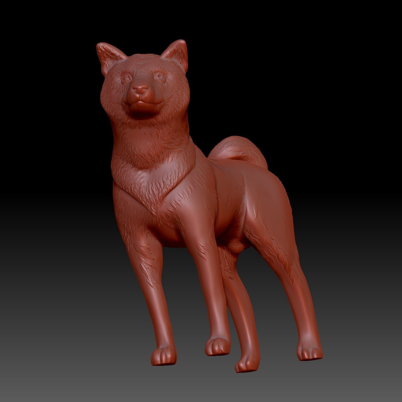 Shiba inu 3D print model_7