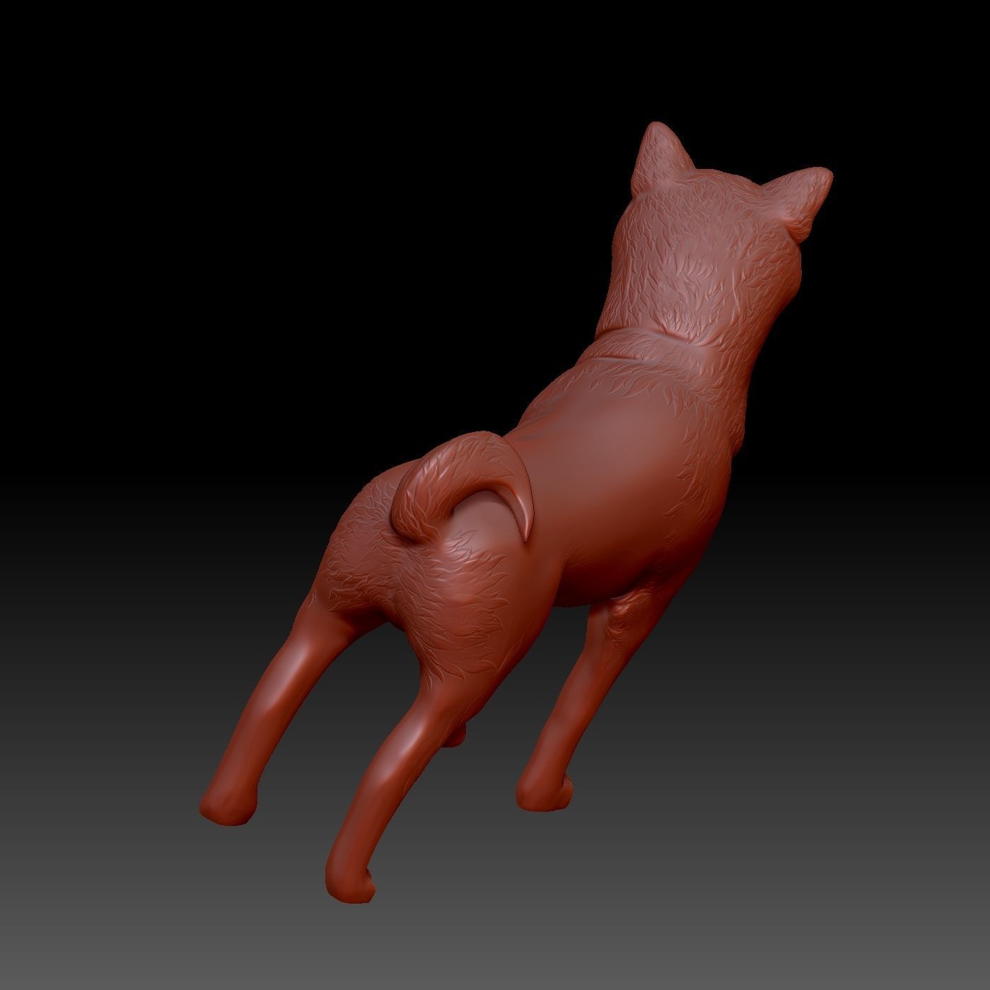 Shiba inu 3D print model_4