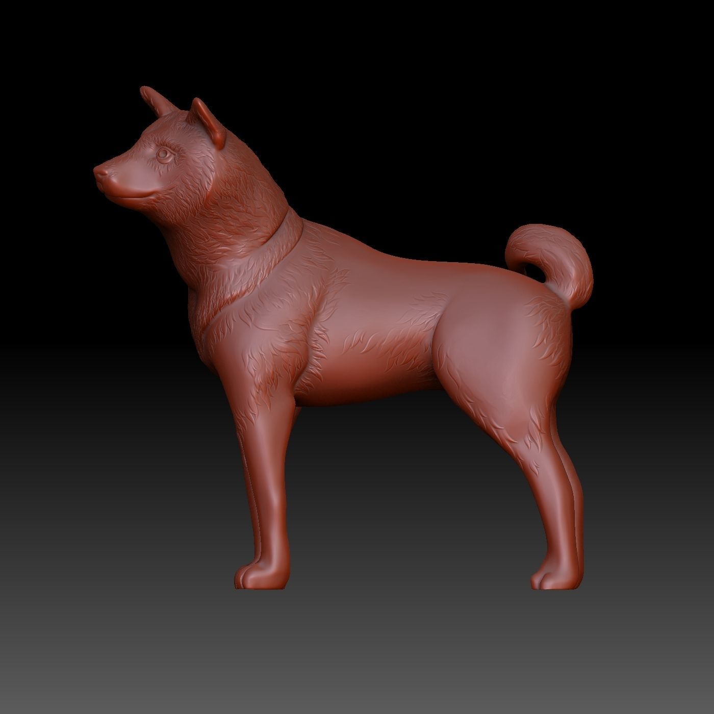 Shiba inu 3D print model_1