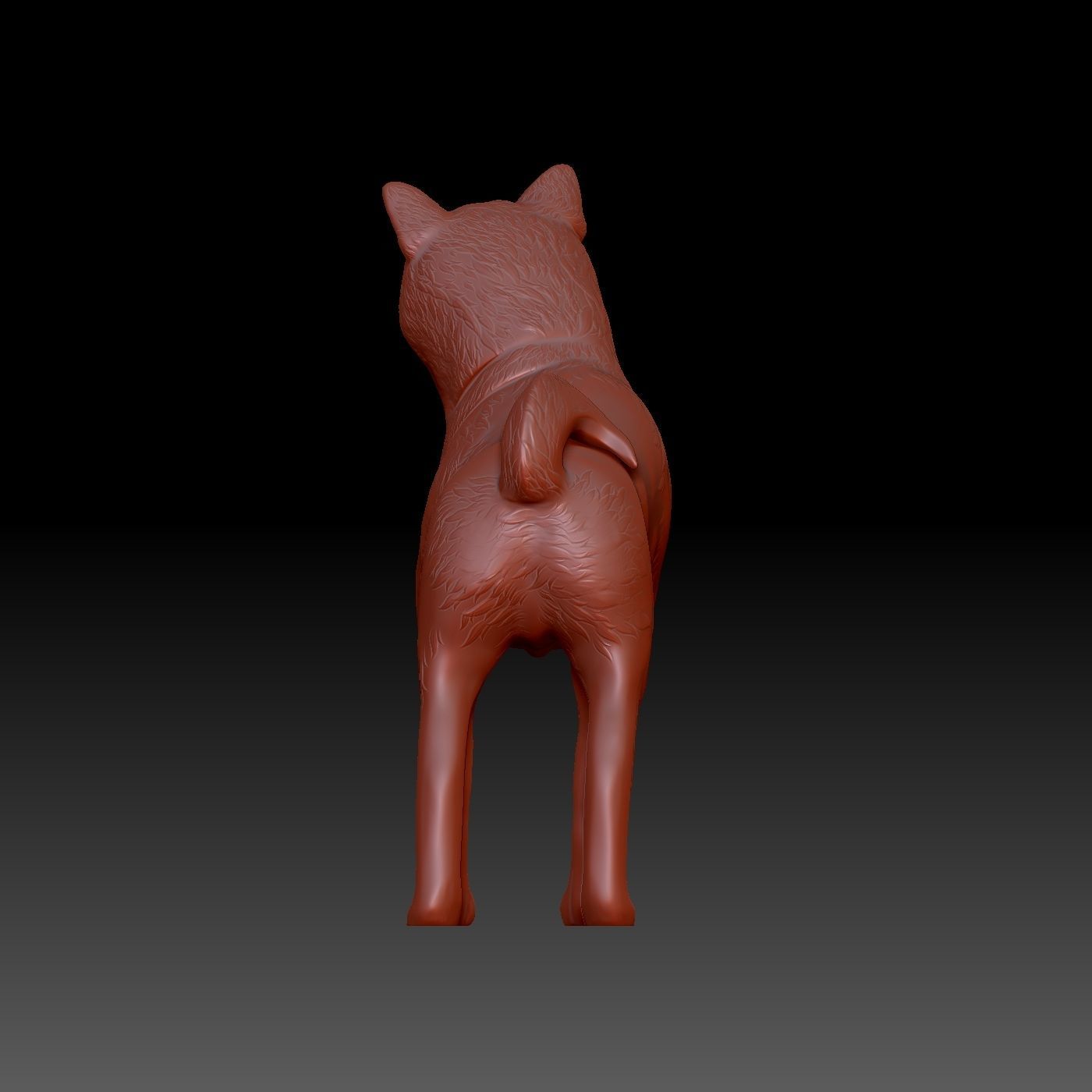 Shiba inu 3D print model_5