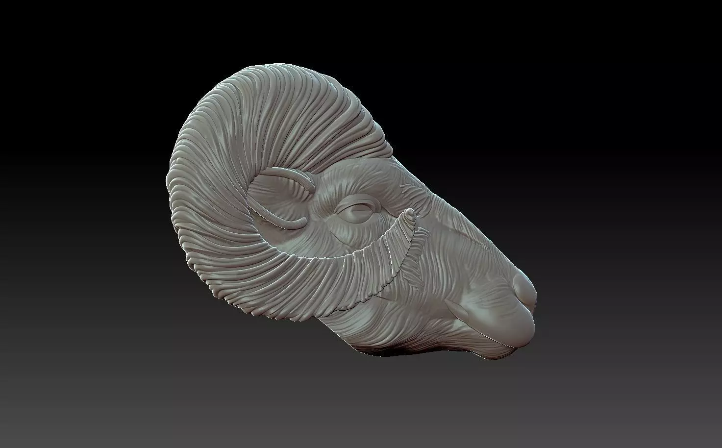 Mountain sheep head 3D print model
