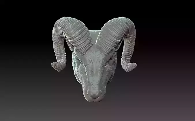 The head of a mountain ram 3D print model
