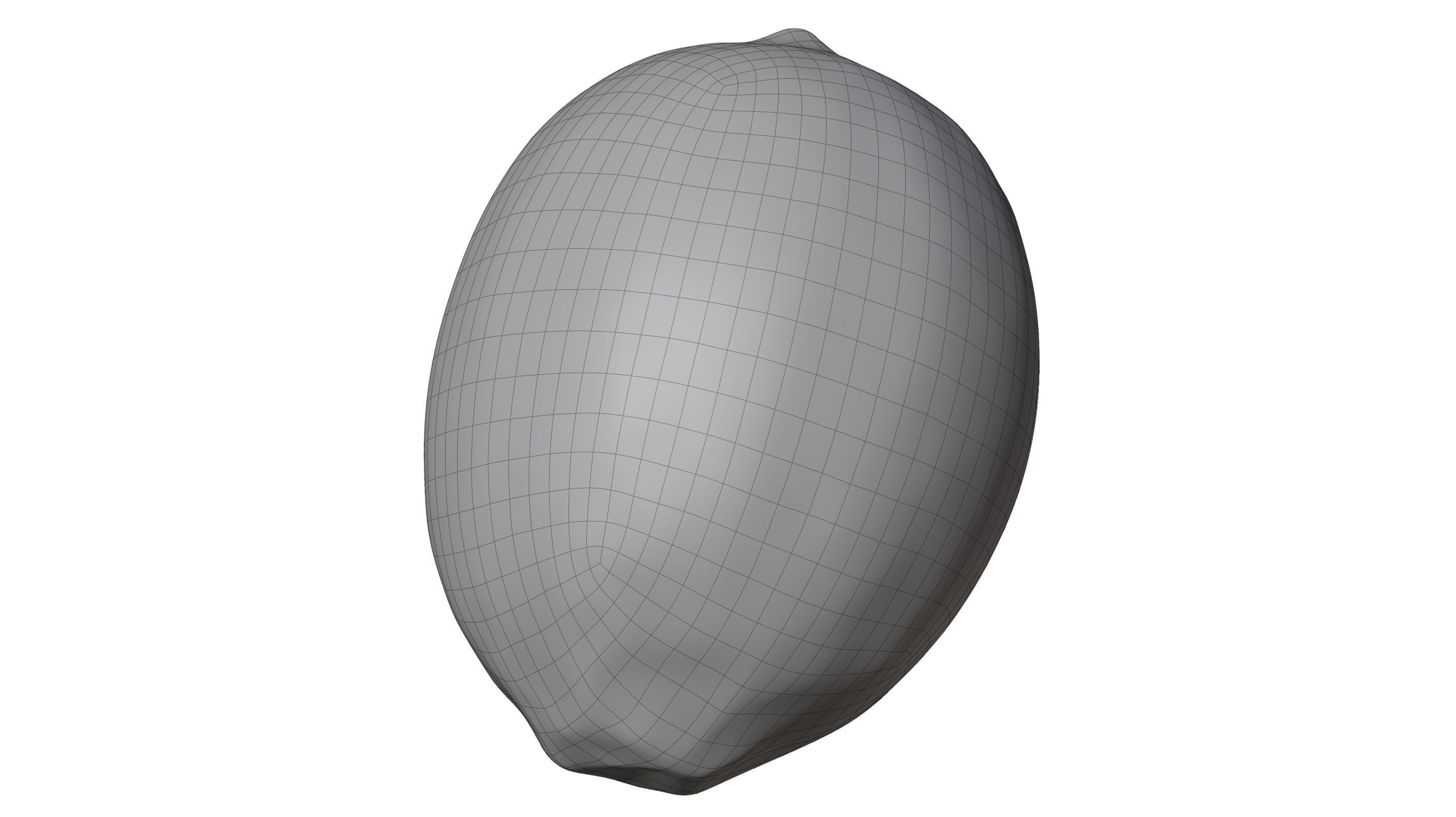 Lemon 3D model_15
