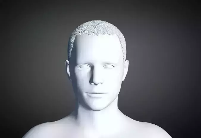 3D Hair style for Man 51 3D model 3D print model
