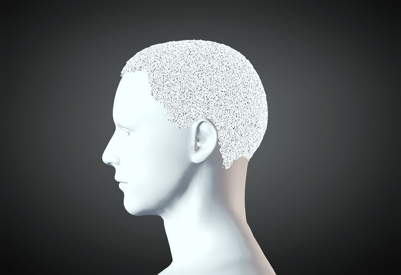 3D Hair style for Man 51 3D model 3D print model_3