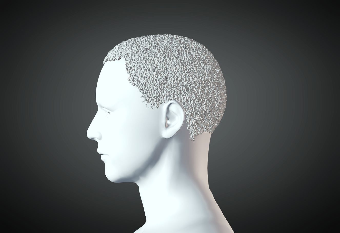 3D Hair style for Man 51 3D model 3D print model_1
