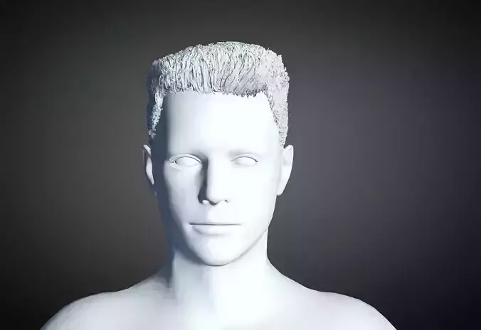 3D Hair style for Man 52 3D model