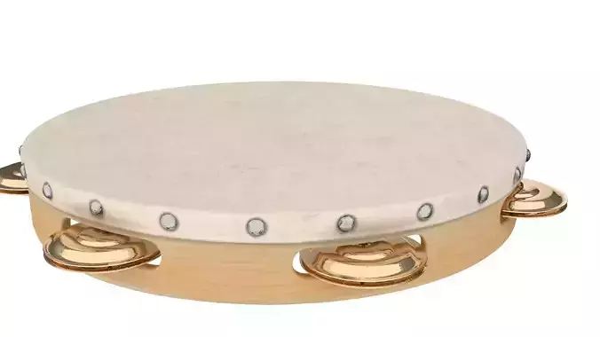 Tambourine musical instrument