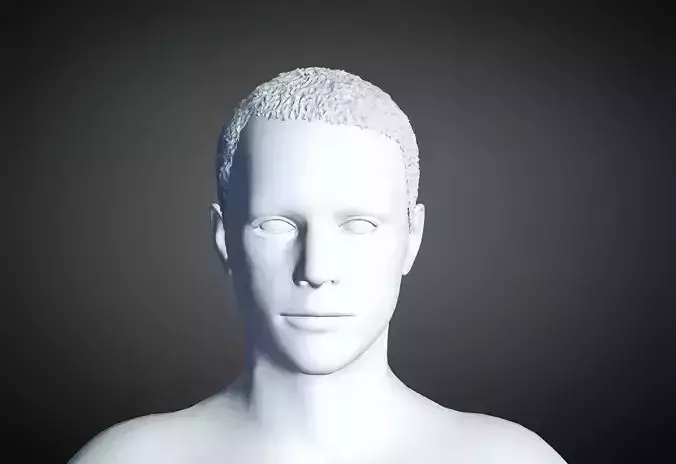 3D Hair style for Man 54 3D model