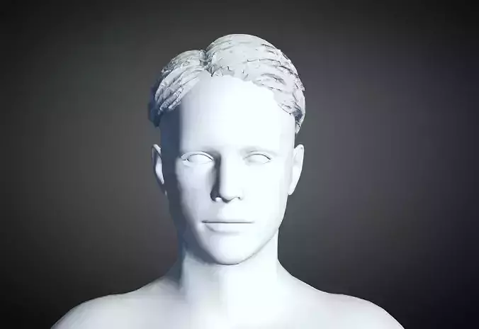 3D Hair style for Man 55 3D model 3D print model