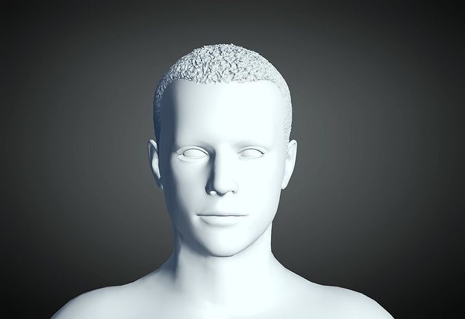 3D Hair style for Man 56 3D model 3D print model