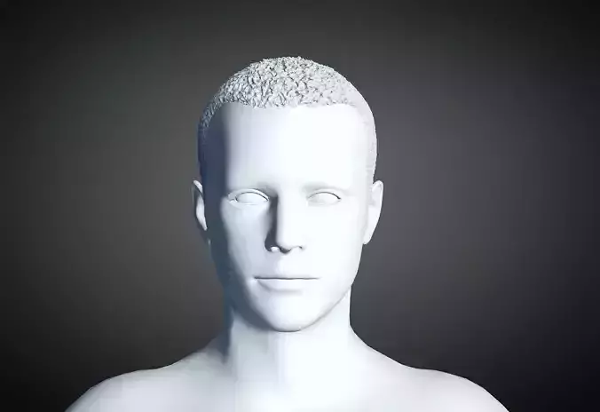 3D Hair style for Man 56 3D model