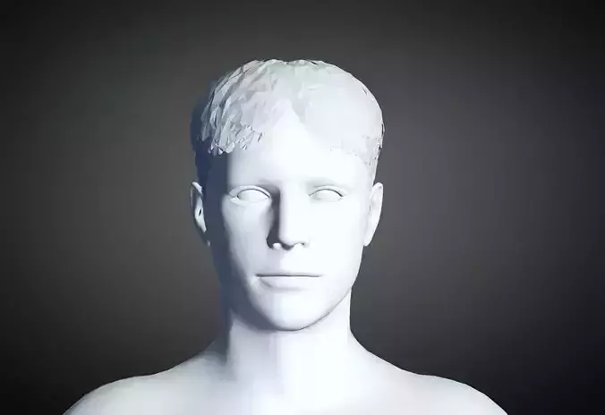 3D Hair style for Man 57 3D model | 3D Print Model - 3D model önizlemesi