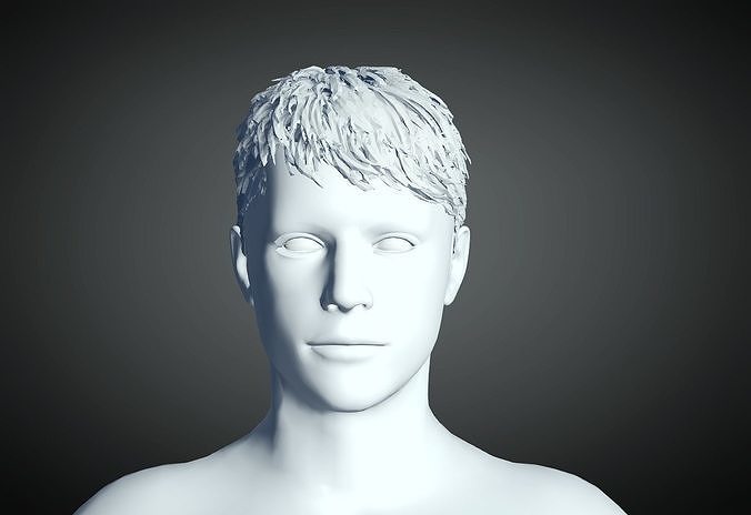 3D Hair style for Man 58 3D model 3D print model