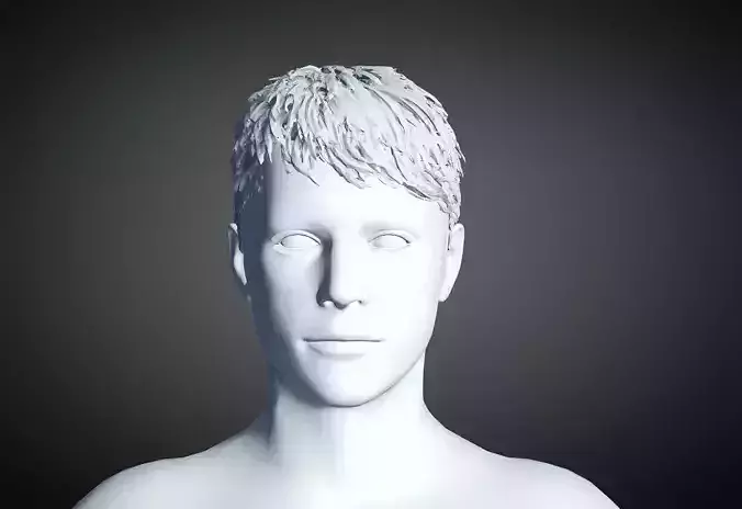 3D Hair style for Man 58 3D model