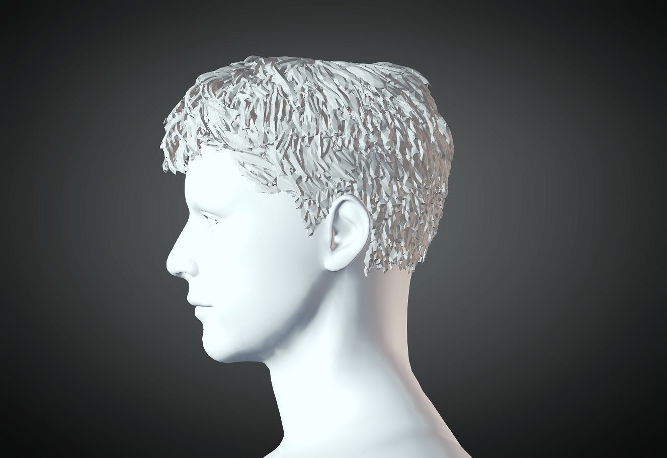 3D Hair style for Man 59 3D model 3D print model_1