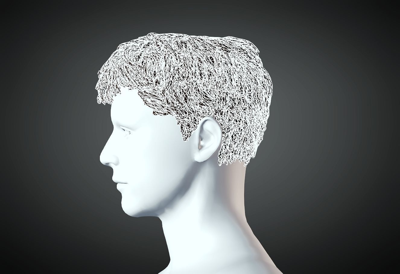 3D Hair style for Man 59 3D model 3D print model_3