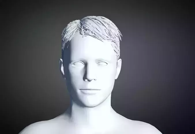 3D Hair style for Man 60 3D model