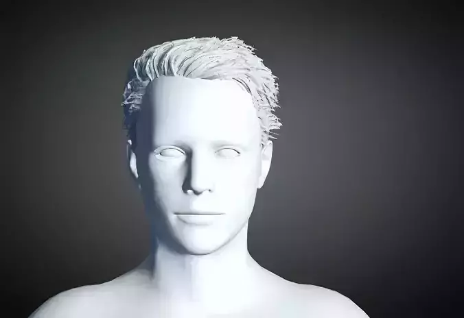 3D Hair style for Man 62 3D model