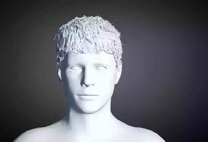 3D Hair style for Man 63 3D model