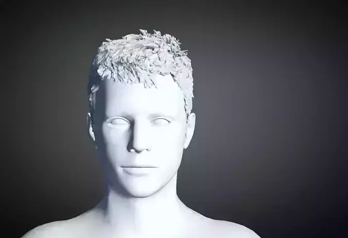 3D Hair style for Man 65 3D model