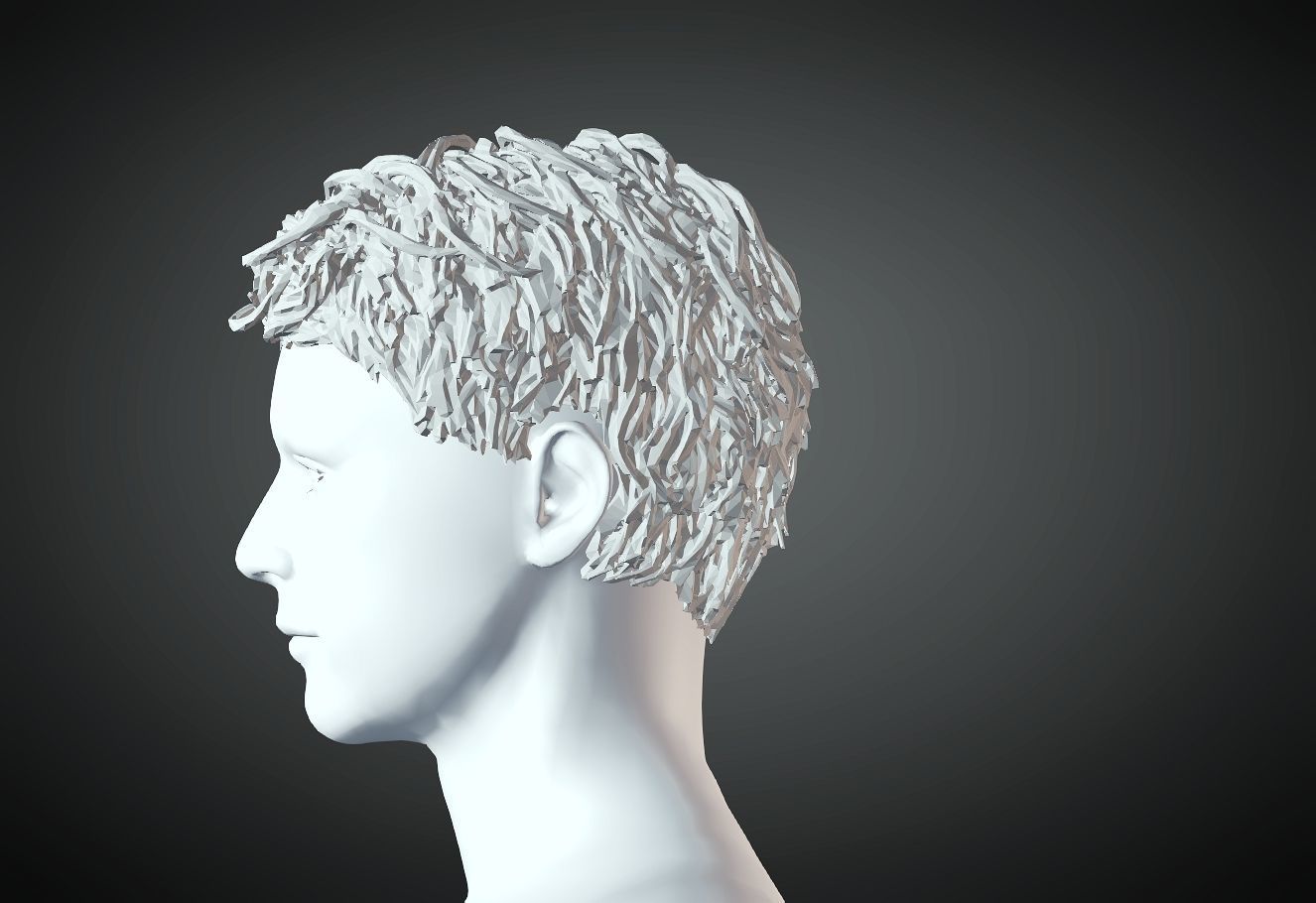 3D Hair style for Man 68 3D model 3D print model_1