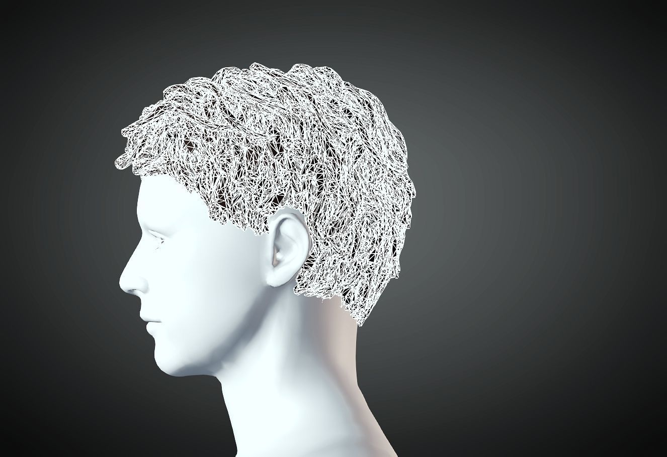 3D Hair style for Man 68 3D model 3D print model_3