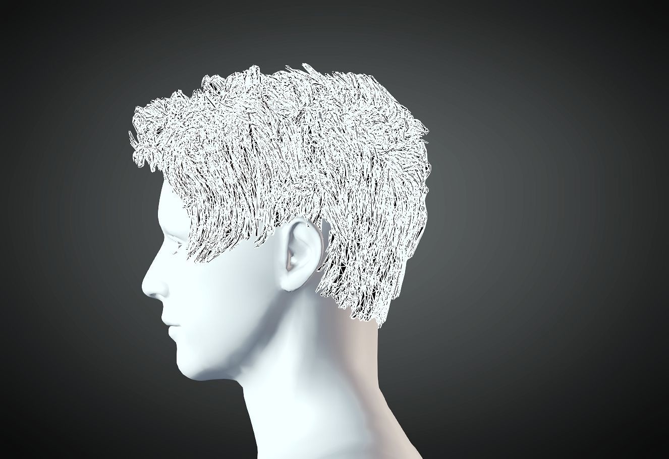 3D Hair style for Man 70 3D model 3D print model_3