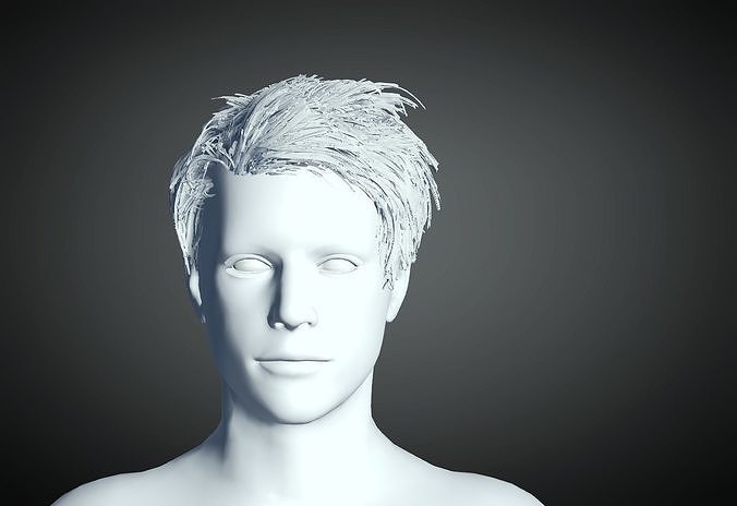 3D Hair style for Man 70 3D model 3D print model