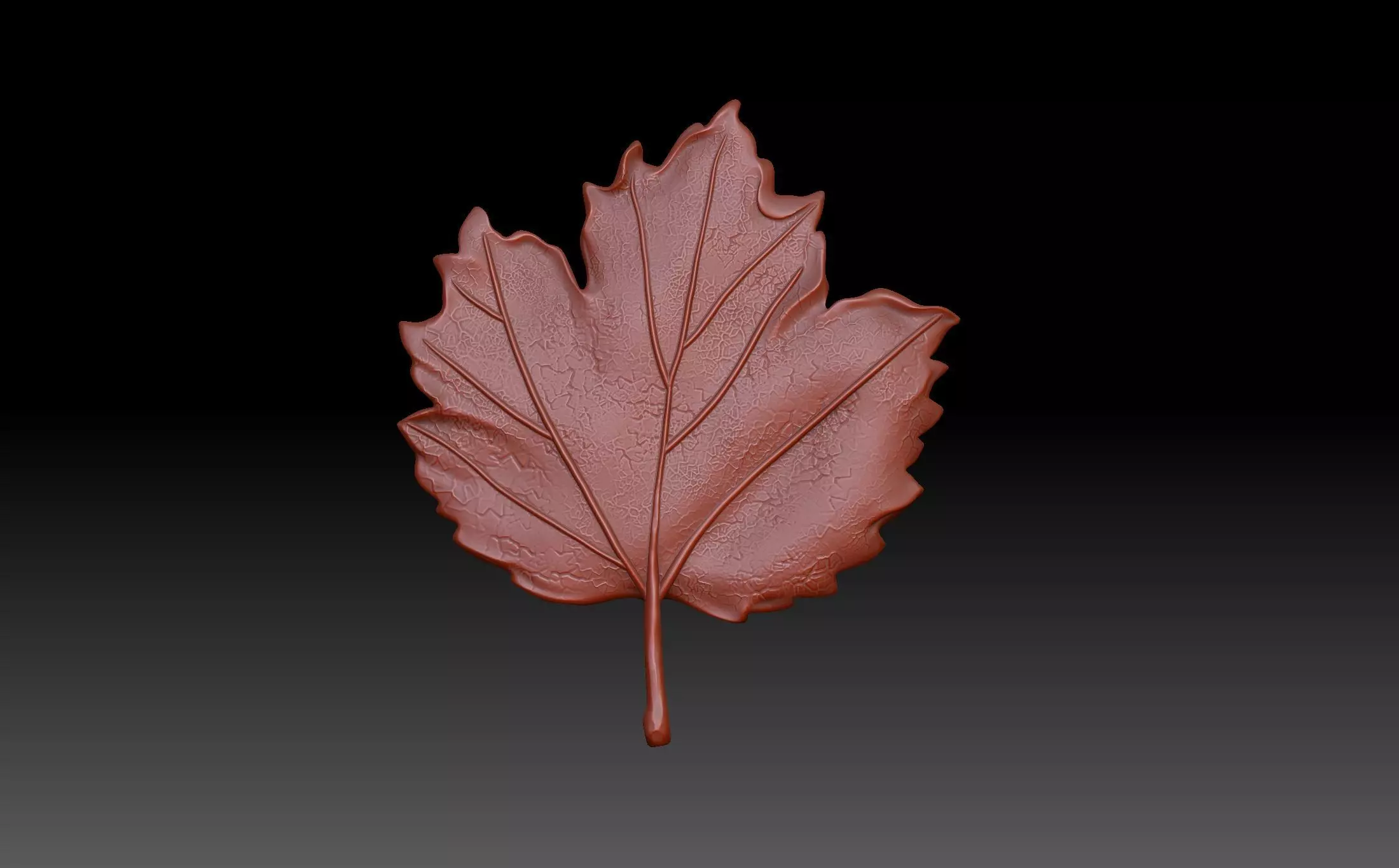 Leaves maple leaf 3D print model