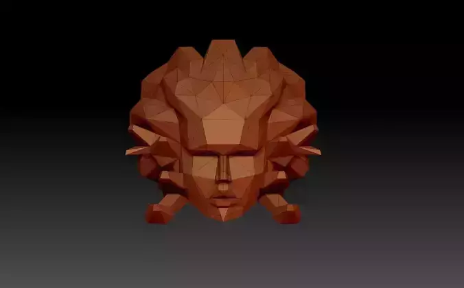 The head of the gorgon medusa