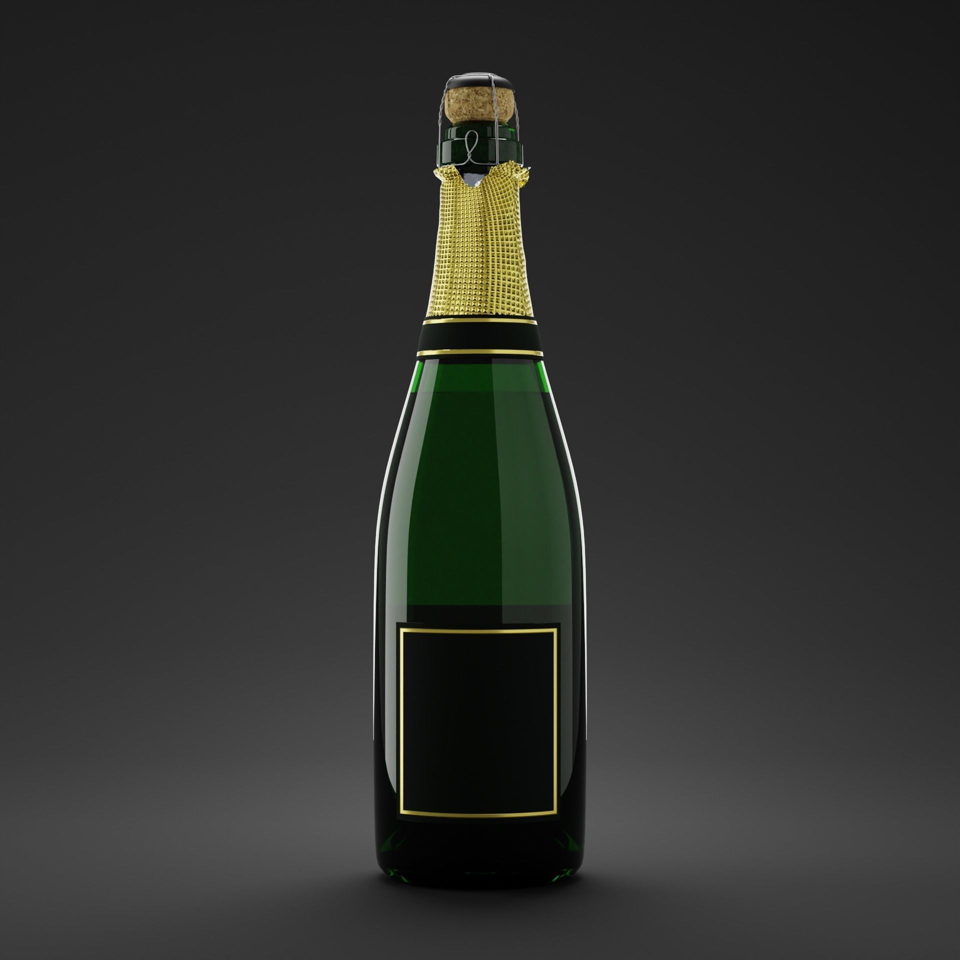 Champagne Bottle 3D model_10
