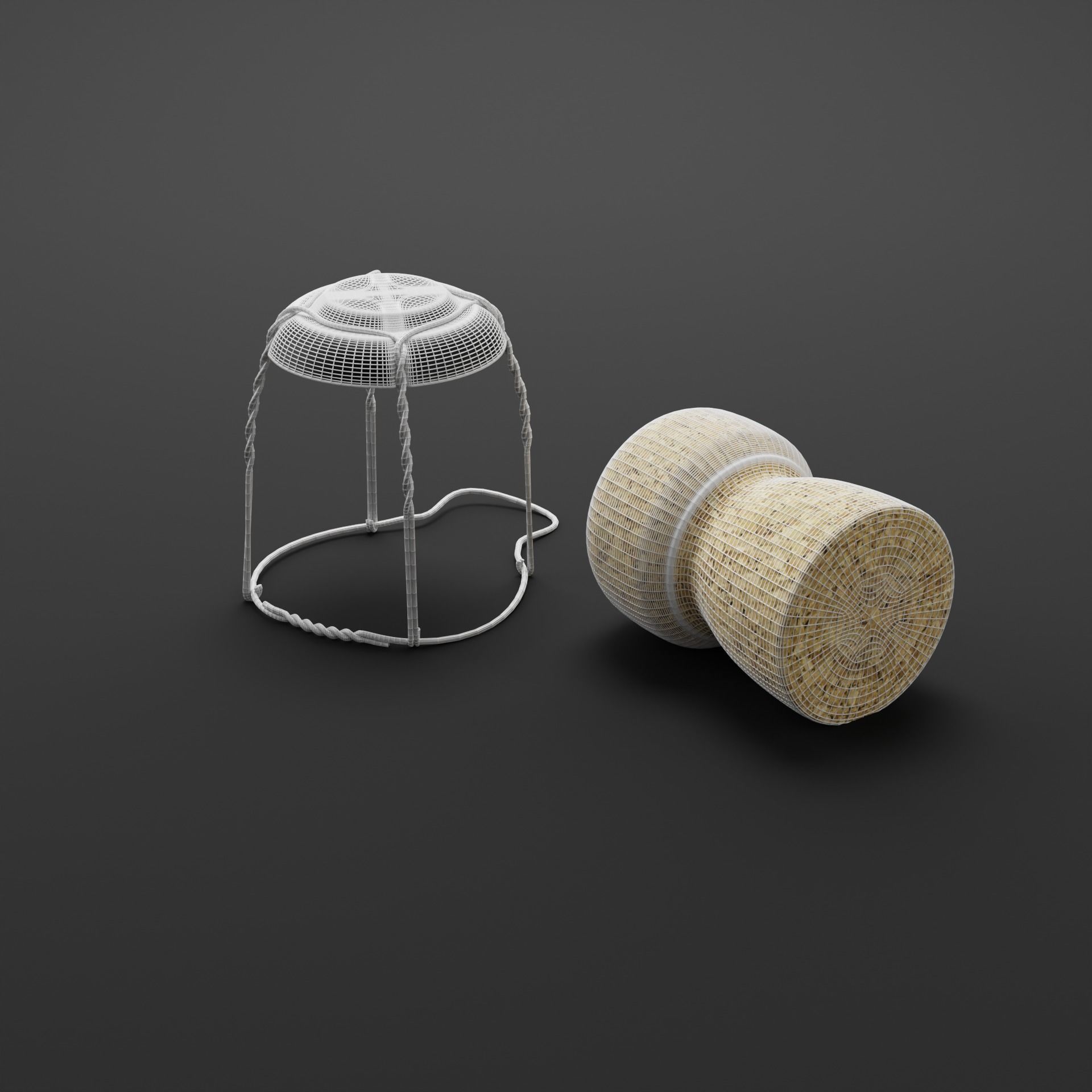 Champagne Bottle 3D model_16