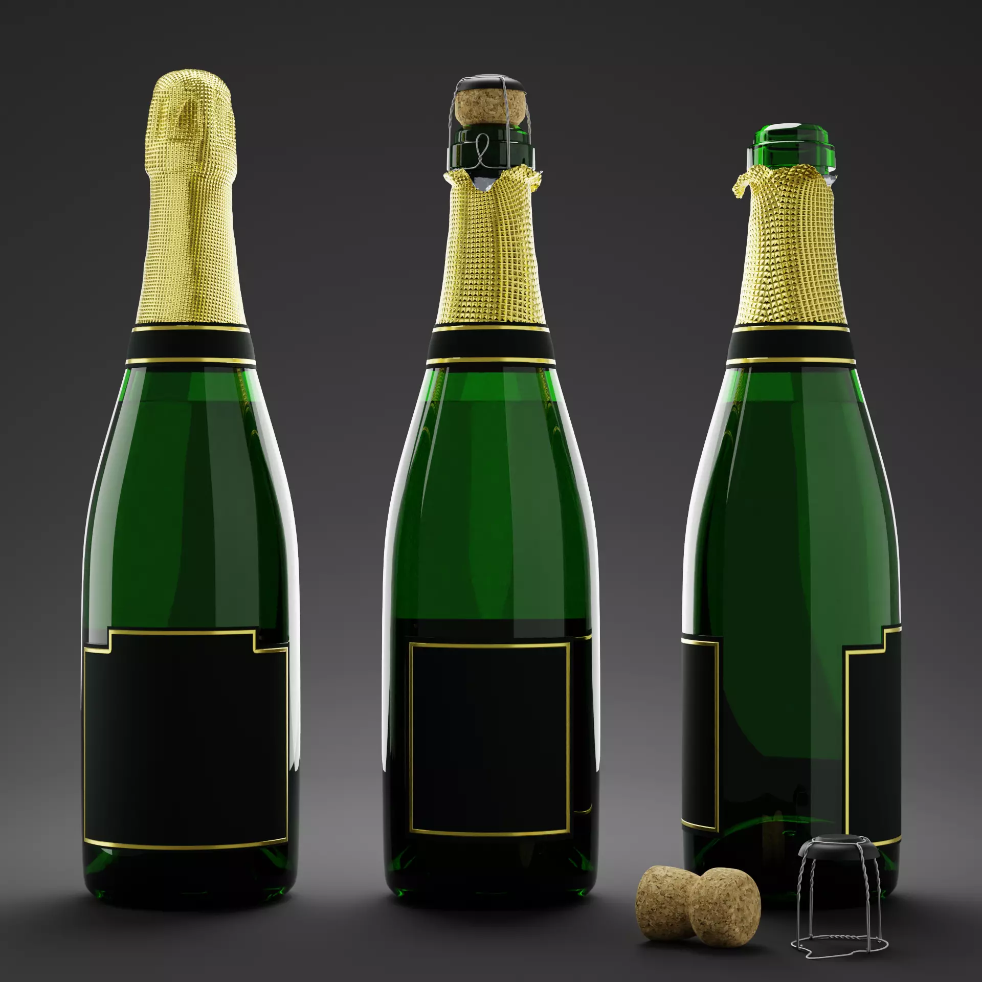 Champagne Bottle 3D model_0