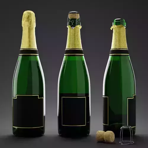Champagne Bottle